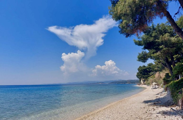 Αγρίλι Αγρίλι